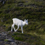 20240829--14-01-57-IMG_7151