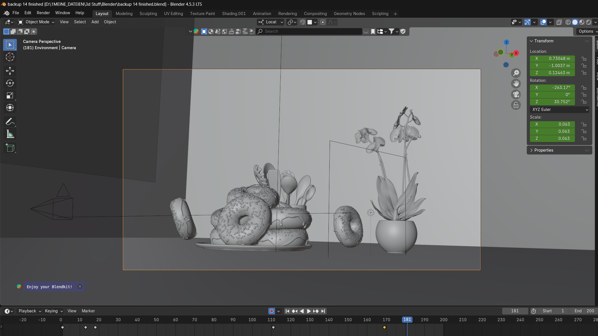 Donut RAW BTS